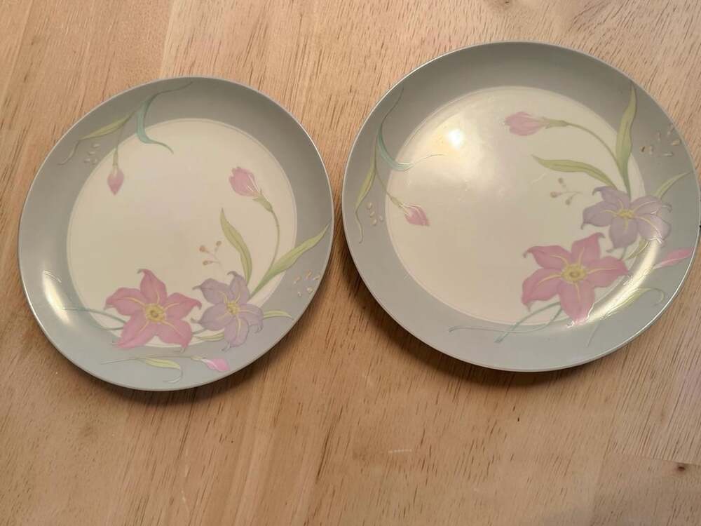 Action Remembrance Collection Floral Salad Plates Set of 2
